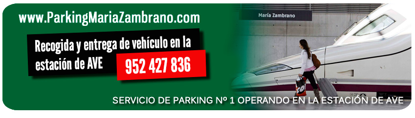 Parking Maria Zambrano - parkingmariazambrano.com